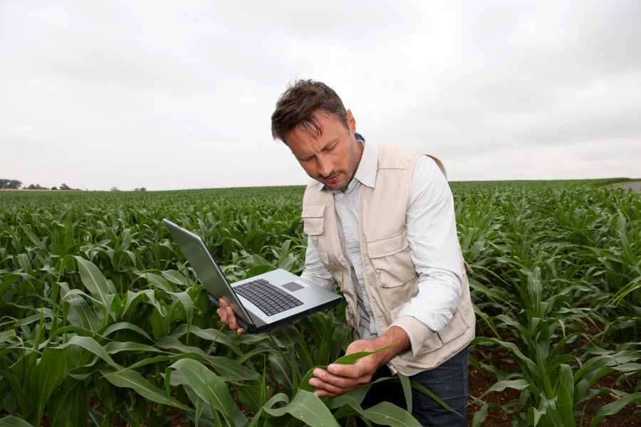 CAP and the Digital Single Market: What growth for agriculture in the digital age?