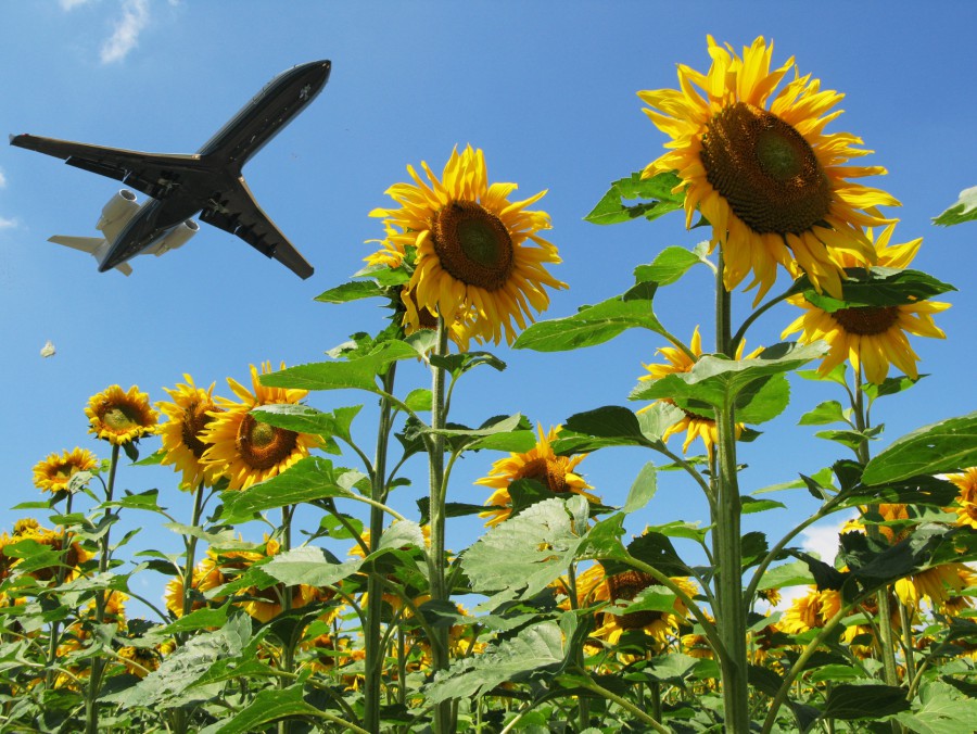 Flying into the future: Innovation in aviation